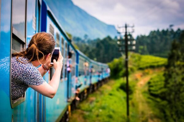 T Mountain package with train rides
